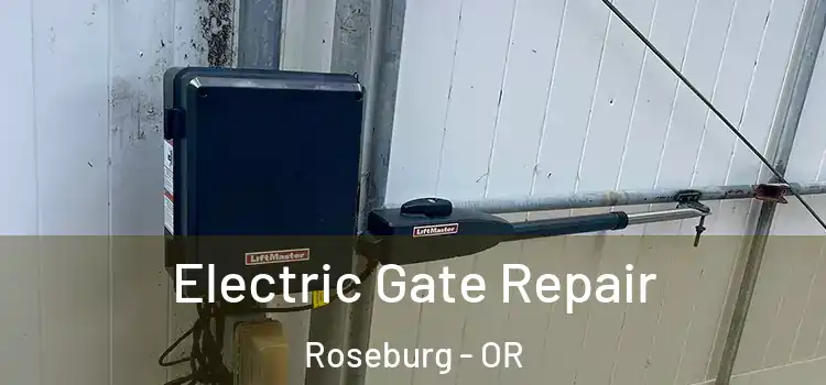 Electric Gate Repair Roseburg - OR