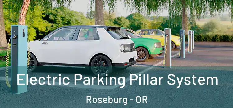 Electric Parking Pillar System Roseburg - OR