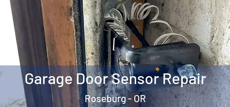 Garage Door Sensor Repair Roseburg - OR