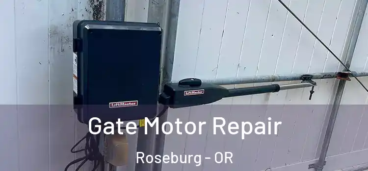 Gate Motor Repair Roseburg - OR