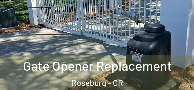 Gate Opener Replacement Roseburg - OR