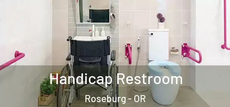 Handicap Restroom Roseburg - OR