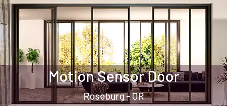 Motion Sensor Door Roseburg - OR