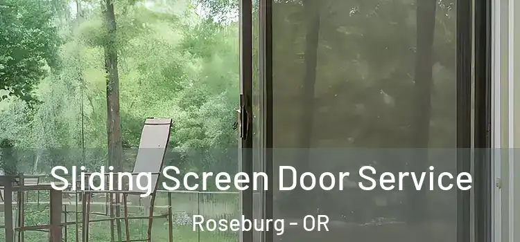 Sliding Screen Door Service Roseburg - OR